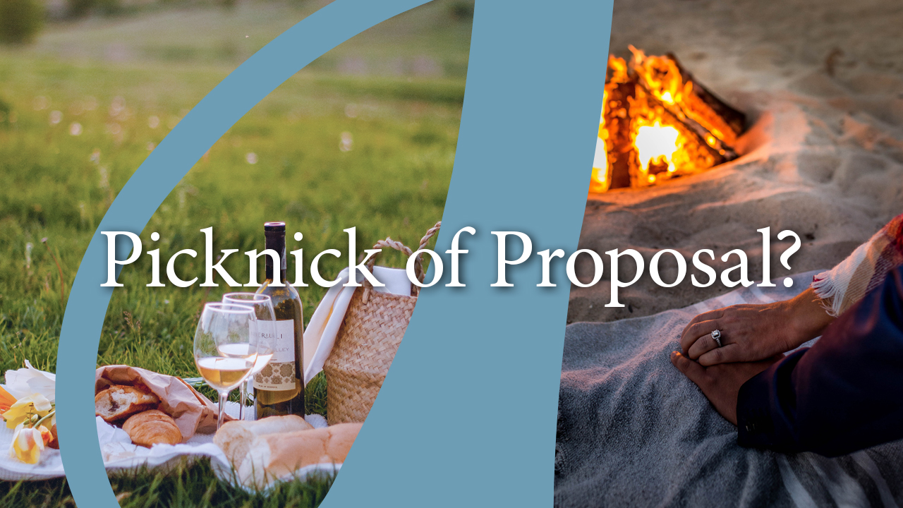 picknick-of-proposal